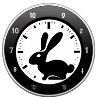 Slightly Subjective Stopwatch